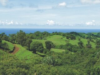 Das Frederica Nature Reserve befindet sich unmittelbar angrenzend - Natur pur